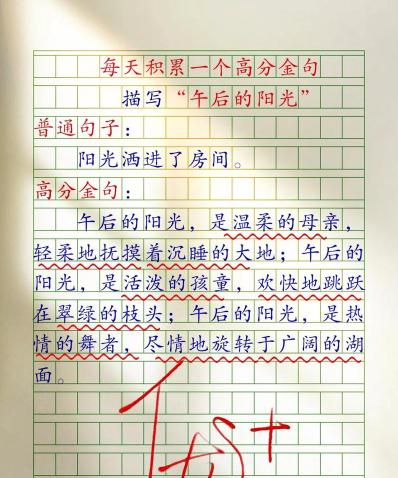 午后的阳光