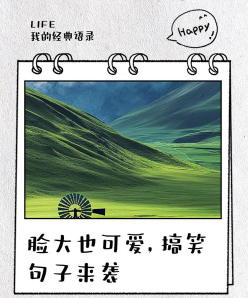 脸大